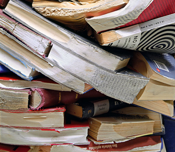 Pliegue VI. Alicia Martín